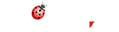 PEOPLELINK
